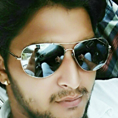 Chitrans Adhana-Freelancer in Greater Noida,India