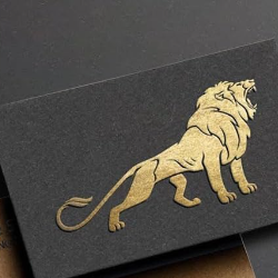 Khushi Sain-Freelancer in Jhajjar,India