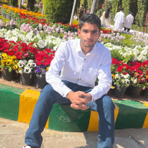 Rohit Kumar-Freelancer in New Delhi,India