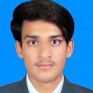 Wajeeh Bukhari-Freelancer in Multan,Pakistan
