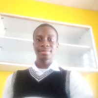 Chidindu Collins-nwoka-Freelancer in Akure,Nigeria