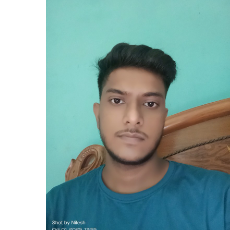 Nilesh Kumar Pandey-Freelancer in Durgapur,India