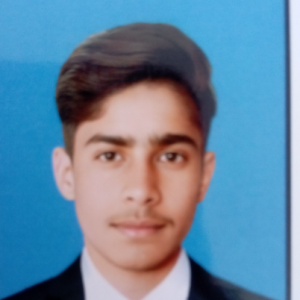 Muhammad Hasnain-Freelancer in Sahiwal,Pakistan