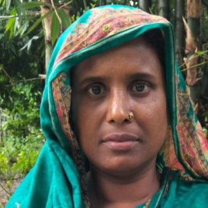 Mst Parul Begum-Freelancer in Gazipur,USA