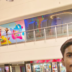 Anshu Shakya-Freelancer in Sironj,India
