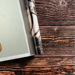 Jack Dave-Freelancer in junagadh,India