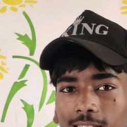 Dinesh Kumar-Freelancer in Kākināda,India