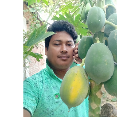 Md Mynul Islam-Freelancer in Noagoan,Bangladesh