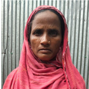 Mst Rahena Begum-Freelancer in Pirojpur,USA