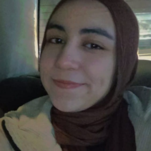 Dina Ahmed-Freelancer in Giza,Egypt