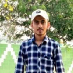 Adil Chhatra-Freelancer in Palodia,India