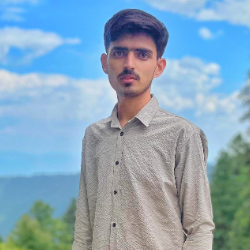 Sajjad Haider-Freelancer in Islamabad,Pakistan