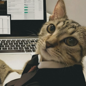 Ryo Kaze-Freelancer in Yangon,Myanmar