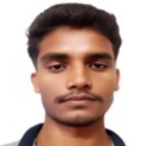 Bhanu Pratap-Freelancer in Paramai Naraini Banda,India