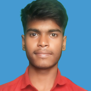 Lucky Kumar-Freelancer in Bikramganj,India