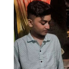 Harsh Dongare-Freelancer in Thane,India