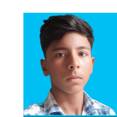 Mohammad Arman-Freelancer in India,India