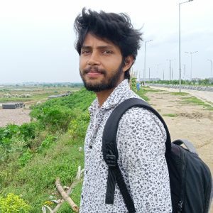 ASHISH RANJAN-Freelancer in Saharsa,India