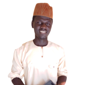 Dmk Musab-Freelancer in Abuja,Nigeria