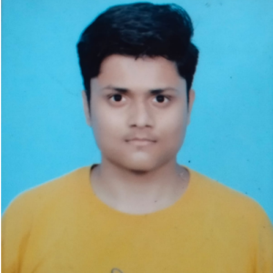 Rudra Parihar-Freelancer in Gwalior,India