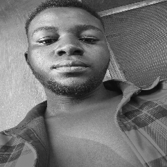 Subuloye Favour Oluwadarasimi-Freelancer in Oyo state,Nigeria