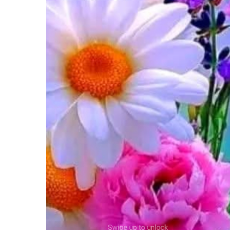 Gopi Yadav-Freelancer in Dhanbad,India