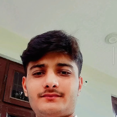 Dikesh Jangid-Freelancer in Jaipur,India