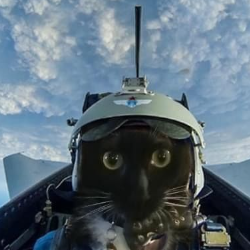 Kumkum-Freelancer in jodhpur,India