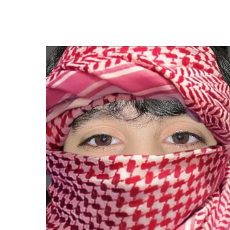 Hamza Sardar-Freelancer in Rawalpindi,Pakistan