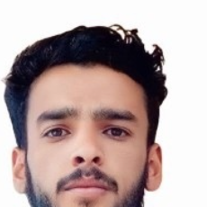 Aadil Bhat-Freelancer in Kulgam,India