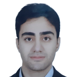 Hossein Mousavi-Freelancer in Tehran,USA