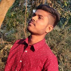 Ishant Kumar-Freelancer in Bagaha,India
