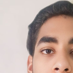 Ritesh Kumar-Freelancer in Bharatri,India