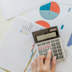 Eridana Gjoni-Freelancer in Tirana,Albania