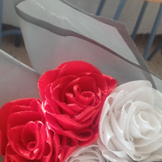 Fatma Yaser-Freelancer in ,Egypt