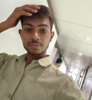 Rakesh Pal-Freelancer in Jaipur,India