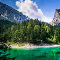 Harleen Kaur-Freelancer in Amritsar,India