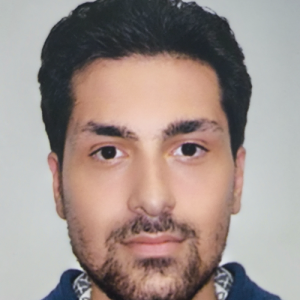 Alireza Nahvinezhad-Freelancer in ,Germany