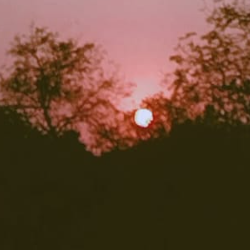 asssk dsd-Freelancer in mumbai,India