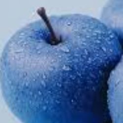 Rafa Baig-Freelancer in Sawantwadi,India