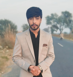 Ali Hassan-Freelancer in Mandi Bahauddin,Pakistan