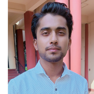 Avi Virtual Assistant-Freelancer in Durgapur,India