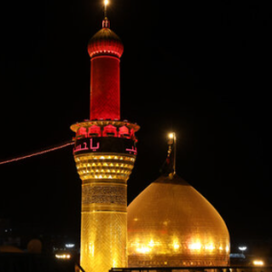 Muhammad Adeel-Freelancer in Lahore,Pakistan