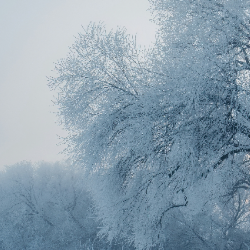 Fatima Yasser-Freelancer in Peshawar,Pakistan