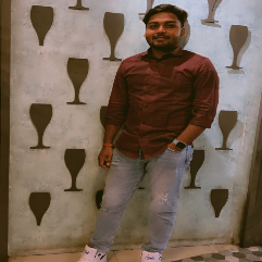 Himanshu Ranjan-Freelancer in Greater Noida,India