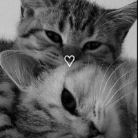 Sneha Gujjar-Freelancer in Karnal Division,India