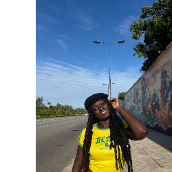 Julie Akplogan-Freelancer in Adenta Municipality,Ghana