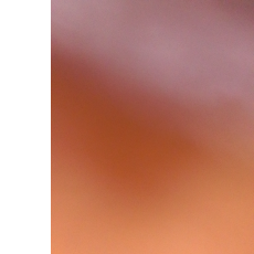 Evans Mwangi-Freelancer in Nairobi,Kenya