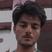 Sunil Saini-Freelancer in Kota Division,India