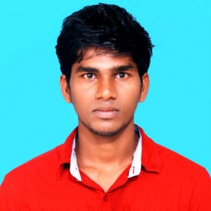 Krishnan-Freelancer in ,India